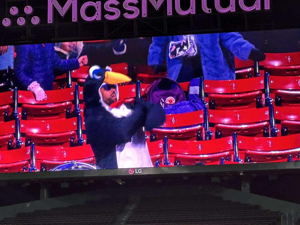 Penguin in Fenway !!!!!