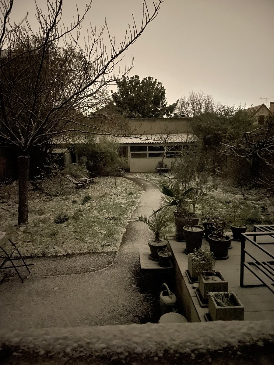 felixirrr's tweet image. NEIGE