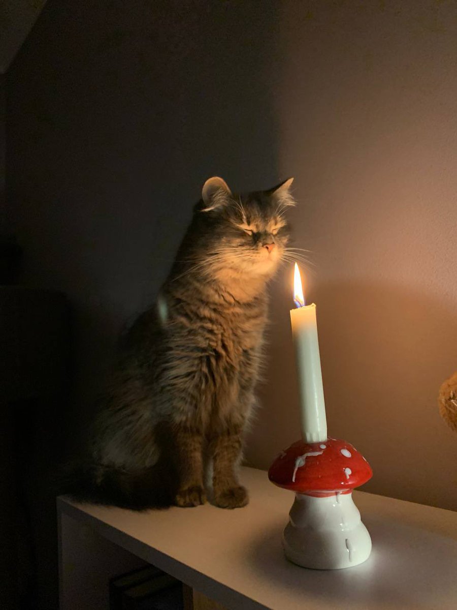 ✨ (@living_in_ua) on Twitter photo 