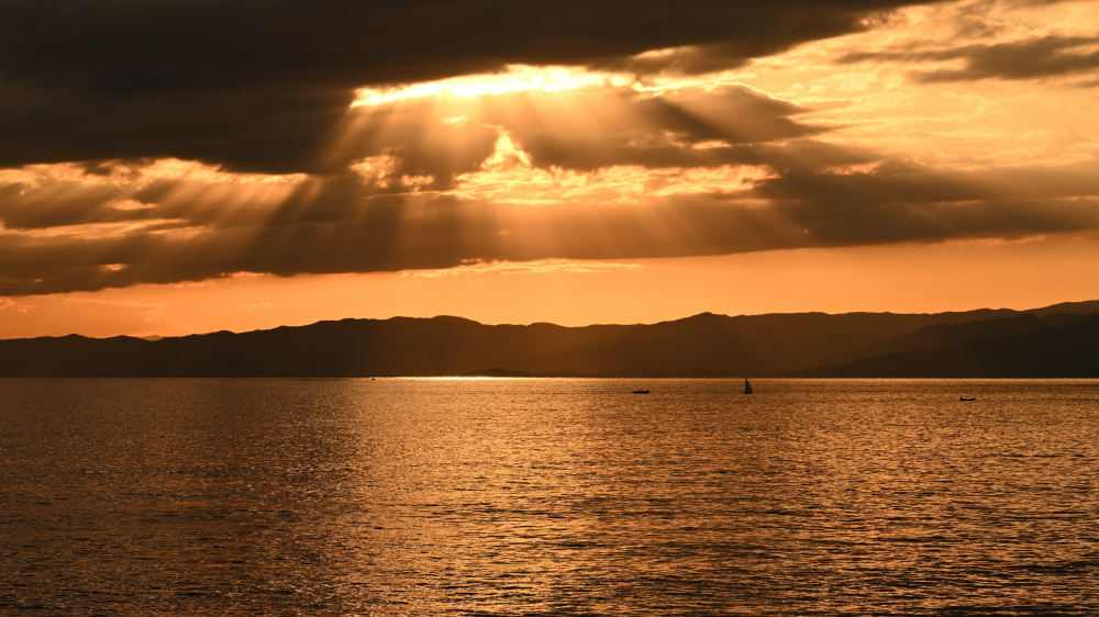 週末ウォーキング tweet media