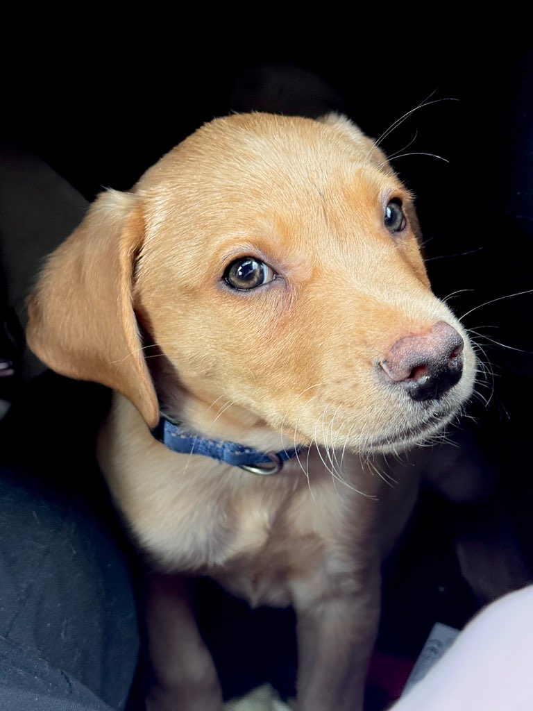 he’s so photogenic omg