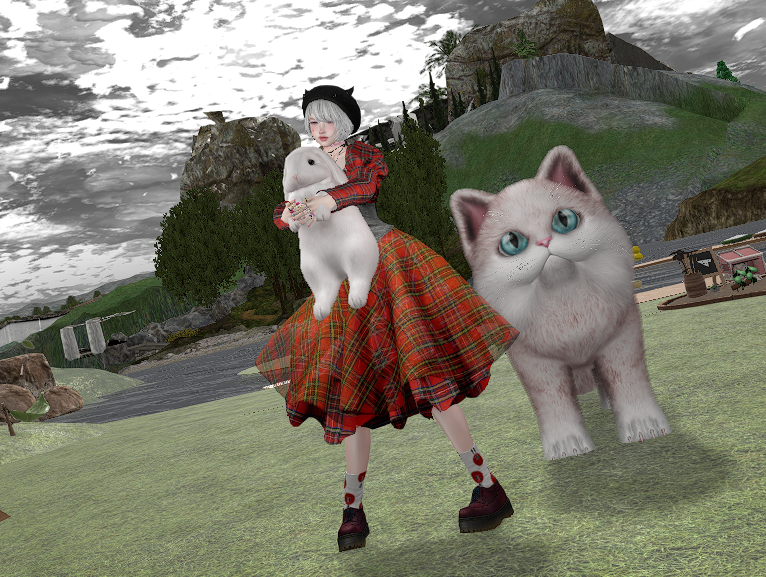 インベ探検隊　!gO!　💞🌸🌸

!gO! Ulla Red😻
momo7white.blogspot.com/2025/11/go.html
Dinkie Zipper!　LB待ちながら ss