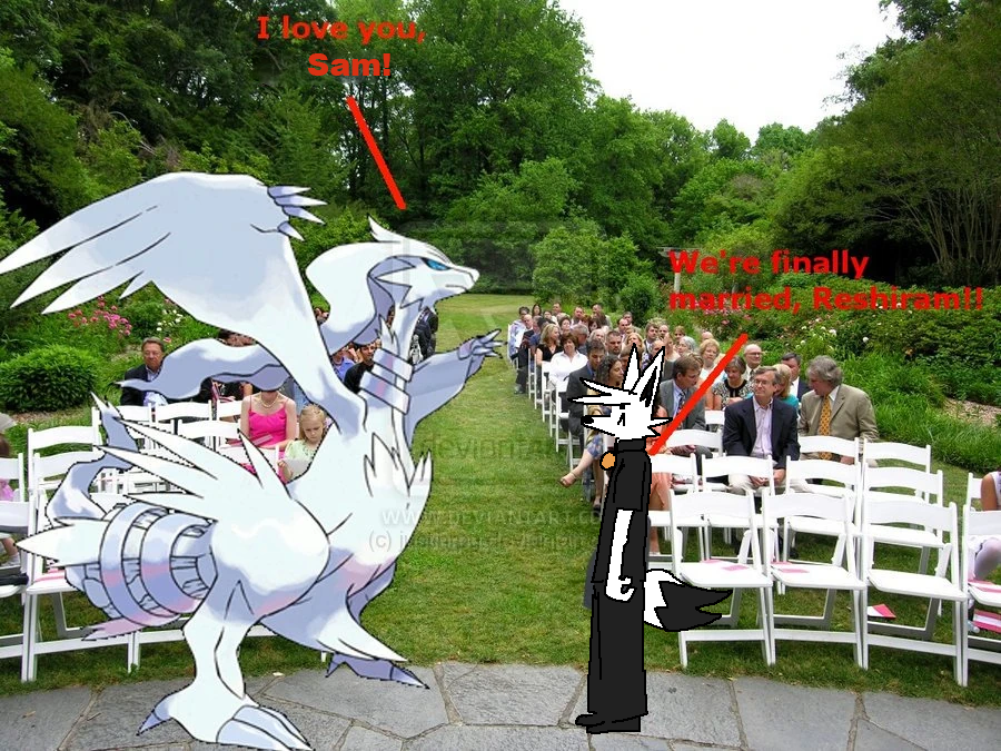 sam (@devthefox) on Twitter photo 