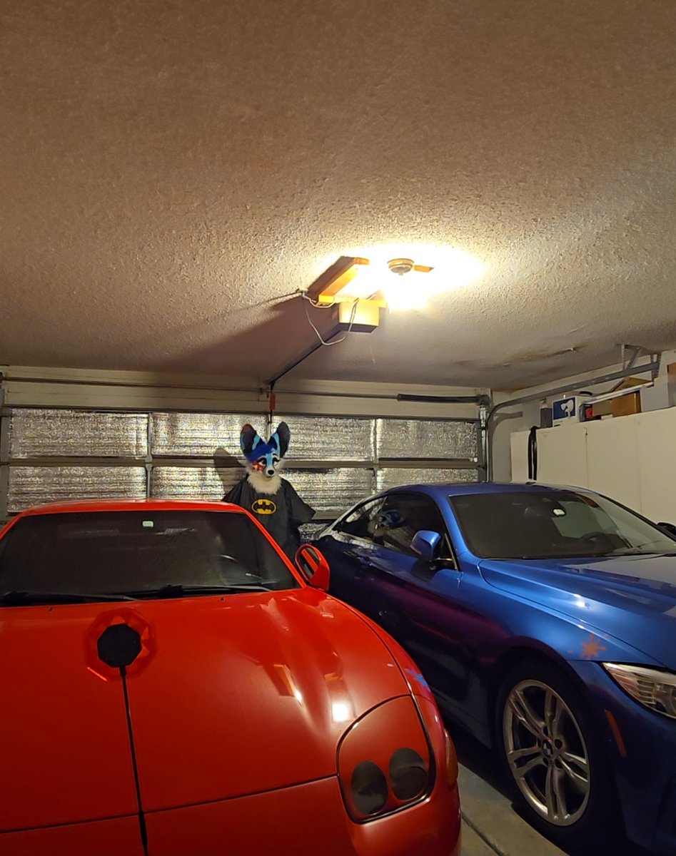 SplatFennec's tweet image. I am batman