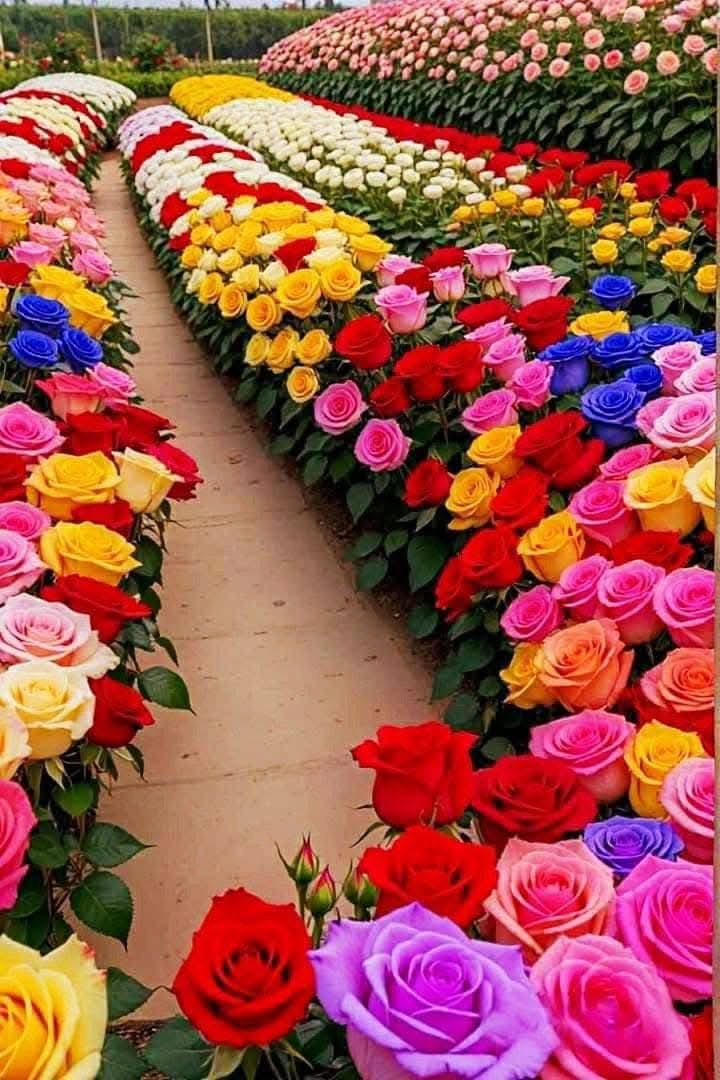 I hope you heal and find the best version of yourself. 

Good Morning World. ☀️