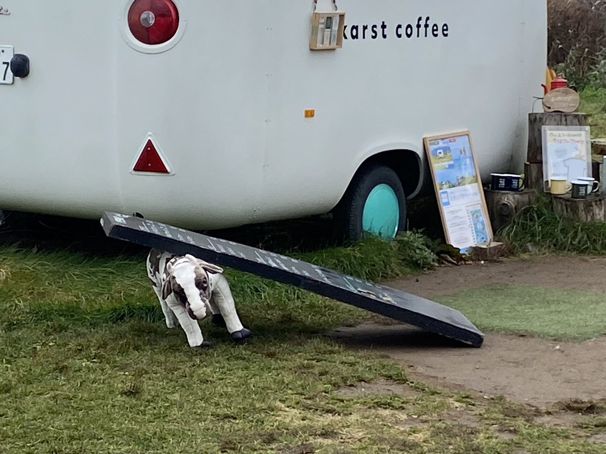 ばやしこ (@bayashiko0038) / Posts / X