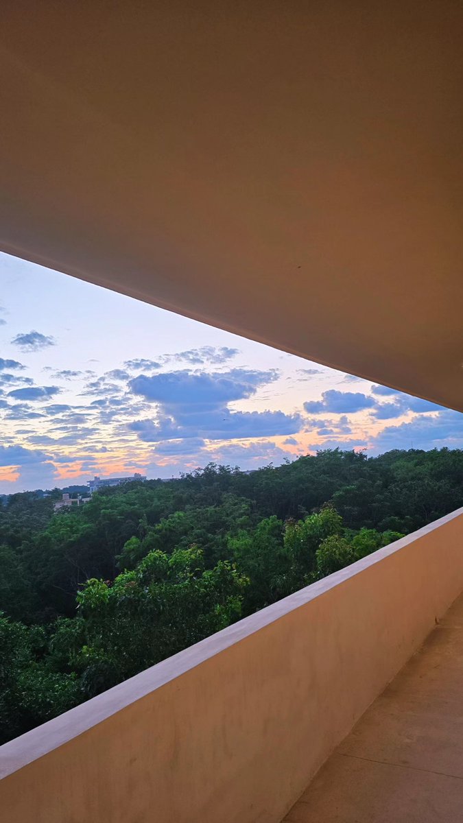 María José 🍄👁️✨ tweet media