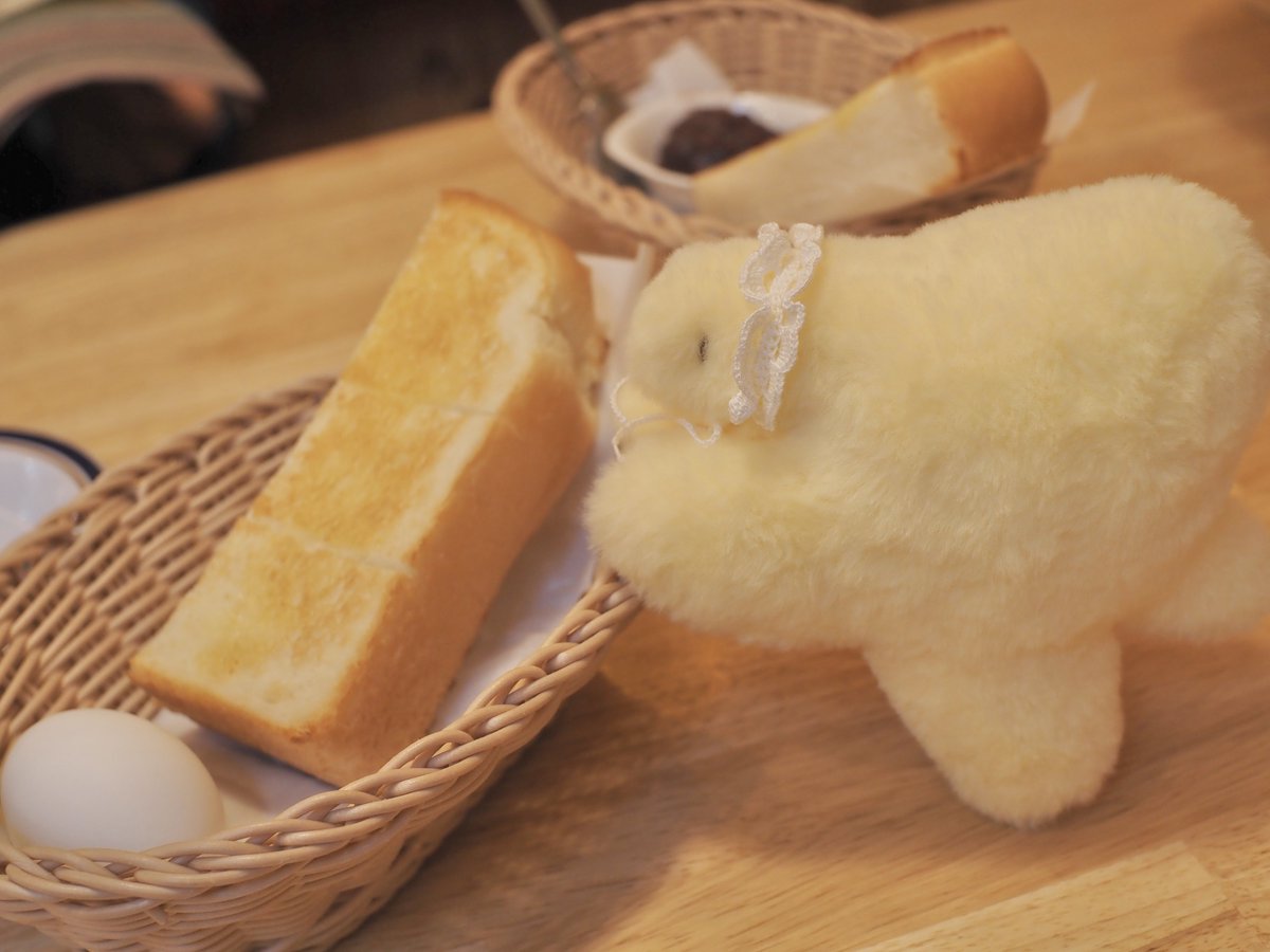 モーニングに大興奮のほしいぬちゃん🌟