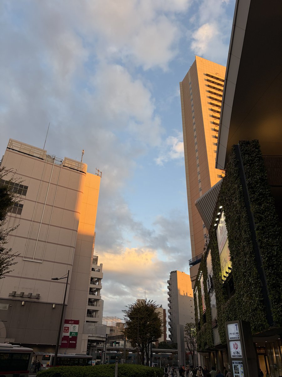 PIROSHI_CC2's tweet image. 本日、勤労感謝の日は私の誕生日なんですよ。

日々働けることの喜びと頑丈な身体と心を備えた状態で産んでくれた両親に感謝しています。

まぁ、心は少年ジャンプのおかげか。

これからも誠心誠意、全力で生きて仕事していきます。

引き続きよろしくお願いします。

あと150年くらい生きますので。