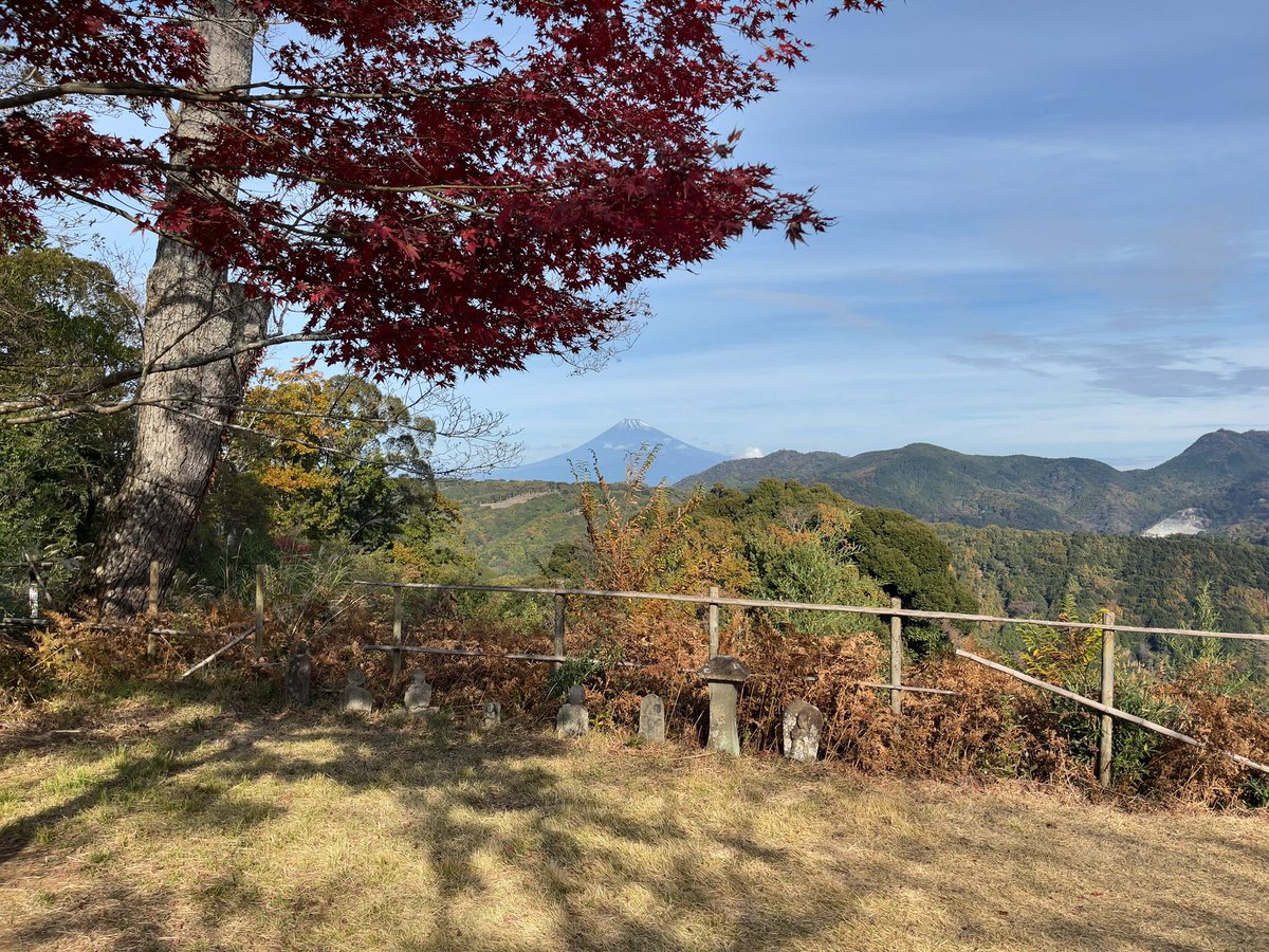 sakuya877's tweet image. 伊豆修善寺のもみじ林。今が旬。