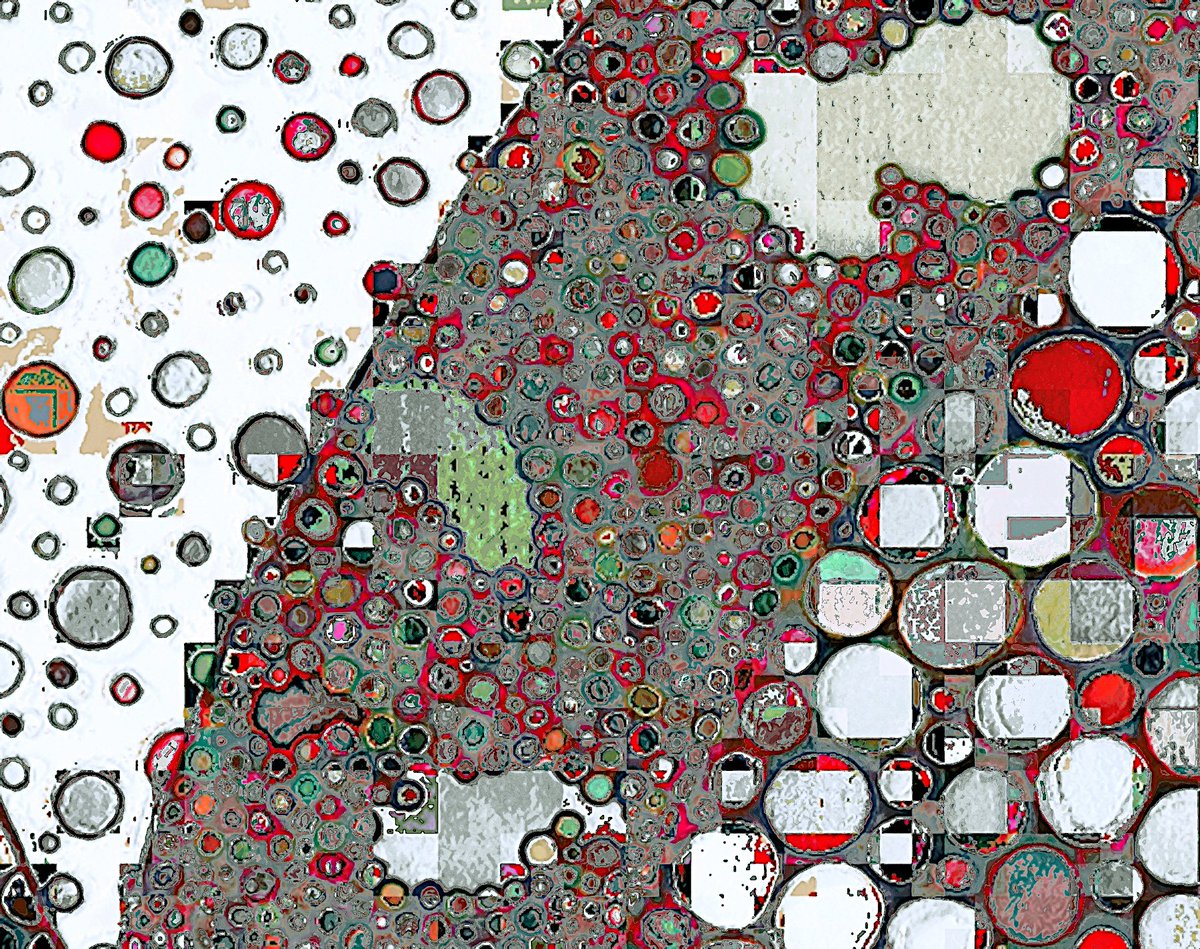 Haru Komoda tweet media