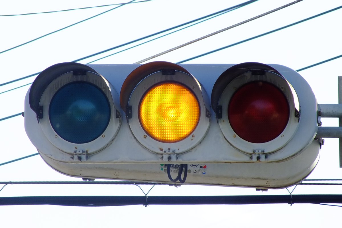 RT @YuyaKouyama0414: 22-039 明戸《埼玉県深谷市》 小糸S型ブツブツ