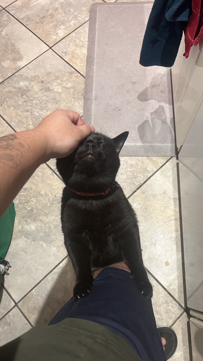 sockmoments's tweet image. he does remember my ass ❤️‍🩹