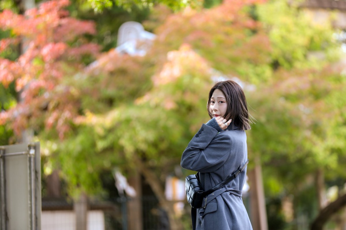 もりちゃん Post by もりちゃん on X: 『』