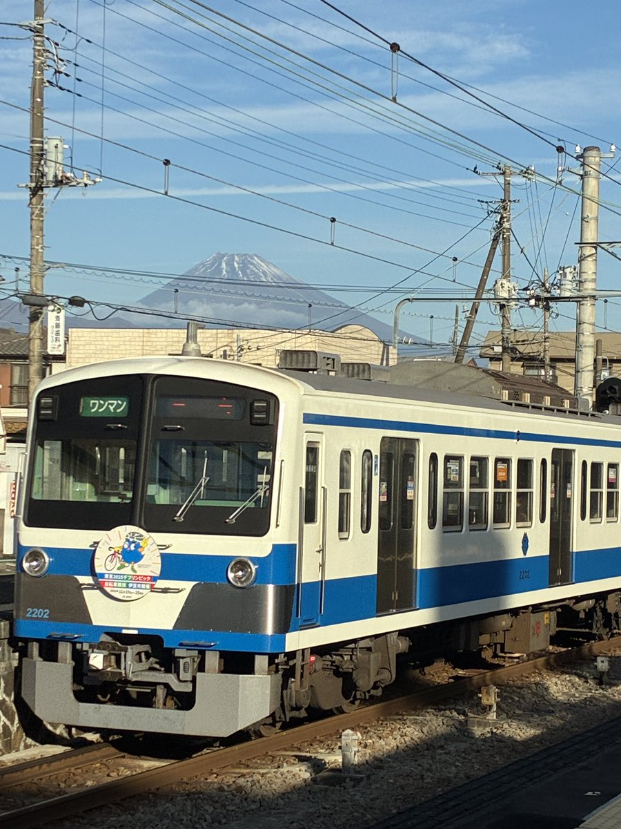 yyyyminamida's tweet image. 本日、いつはこねふれあいフェスタ（伊豆箱根鉄道本社でお待ちしております）

#いずっぱこ

#いずはこねふれあいフェスタ