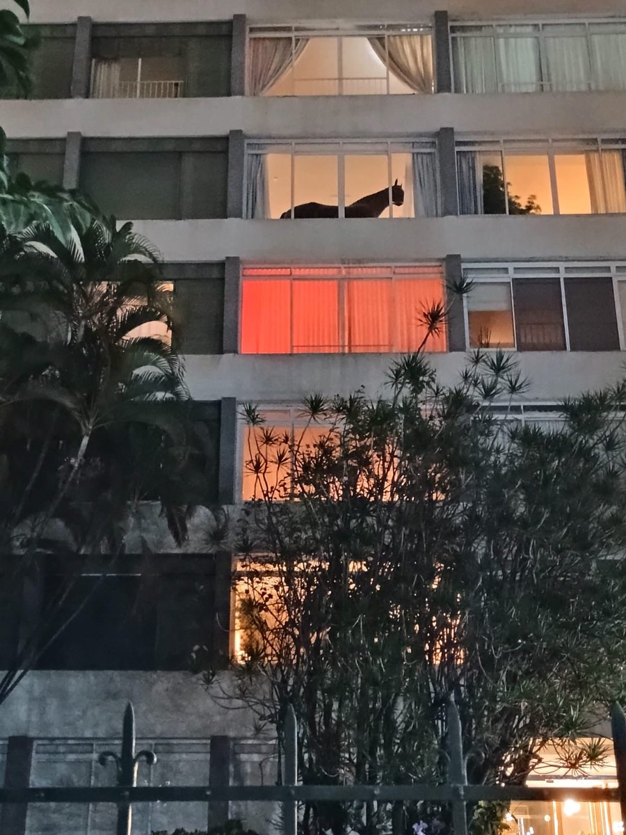 __runlolarun's tweet image. gente?? meu amigo de sp acabou de tirar essa foto e me mandou