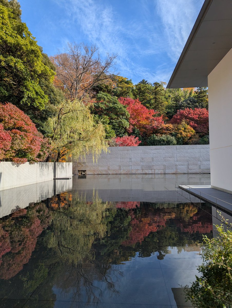 gamane46's tweet photo. 鈴木大拙館の紅葉🍁
と、 https://t.co/qxYyATHN9f