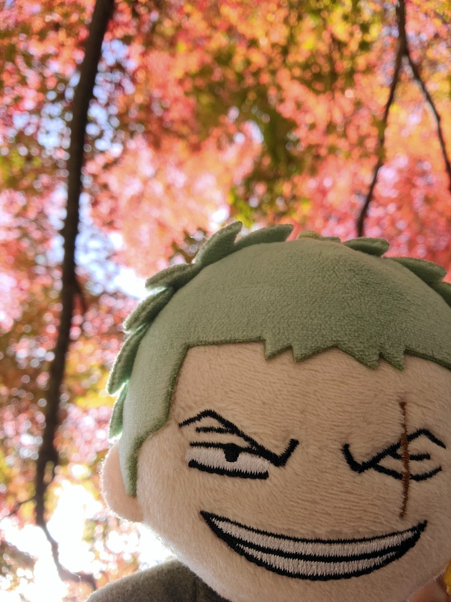 もみじがりッ！