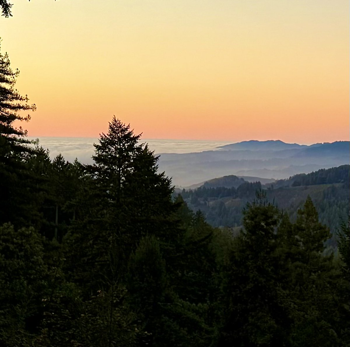 Good night from the edge of the West.