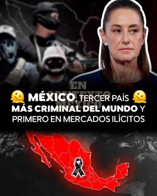 DRA. MERCEDES PAVON "SUPERMUELITA FIFÍ" tweet media