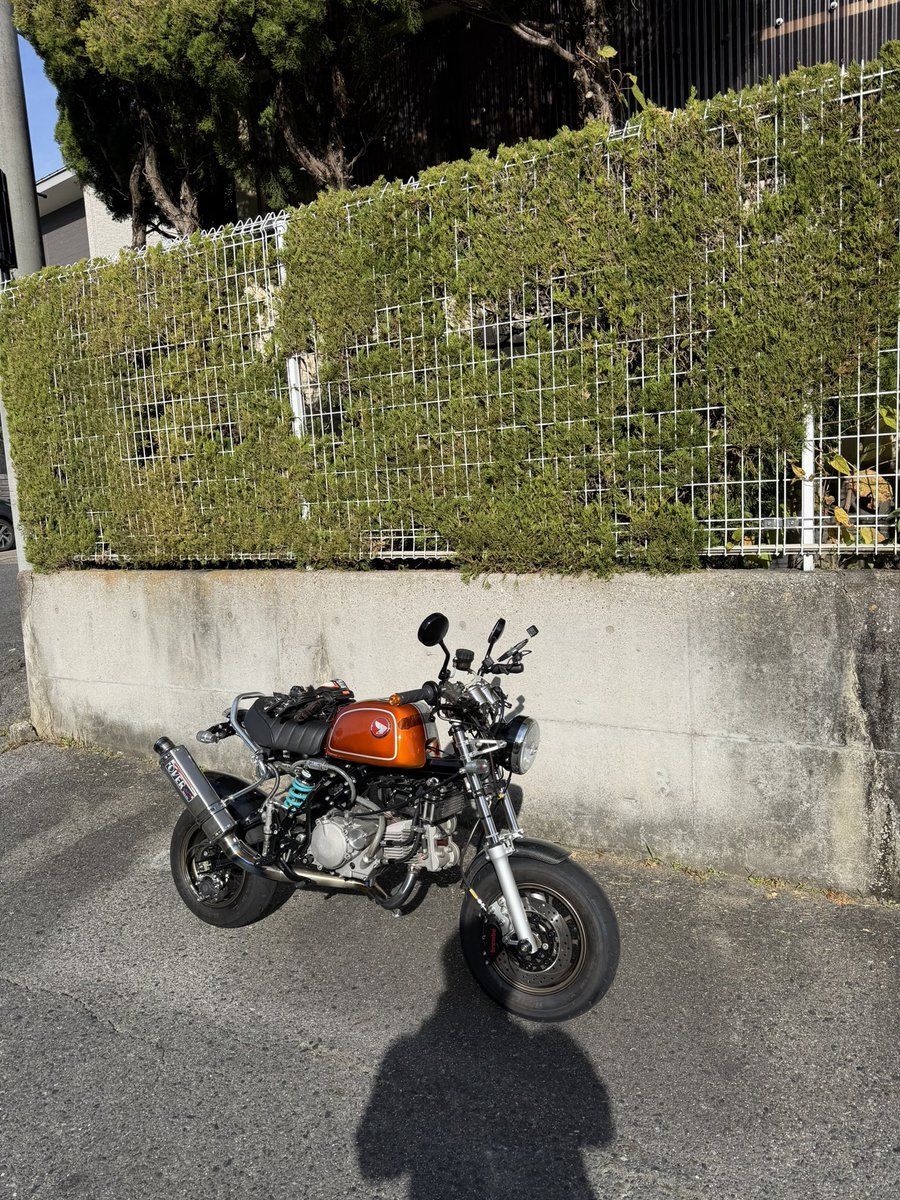 確認(´◠ω◠`) 今日はおバイクの日🏍³₃ ρ(⌒－⌒。)ﾉ ｲｯﾃﾐﾖｰ♪