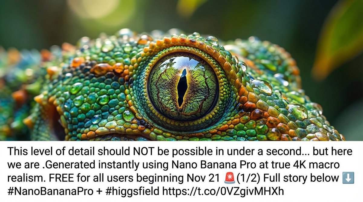 Macro reptile eye promotion