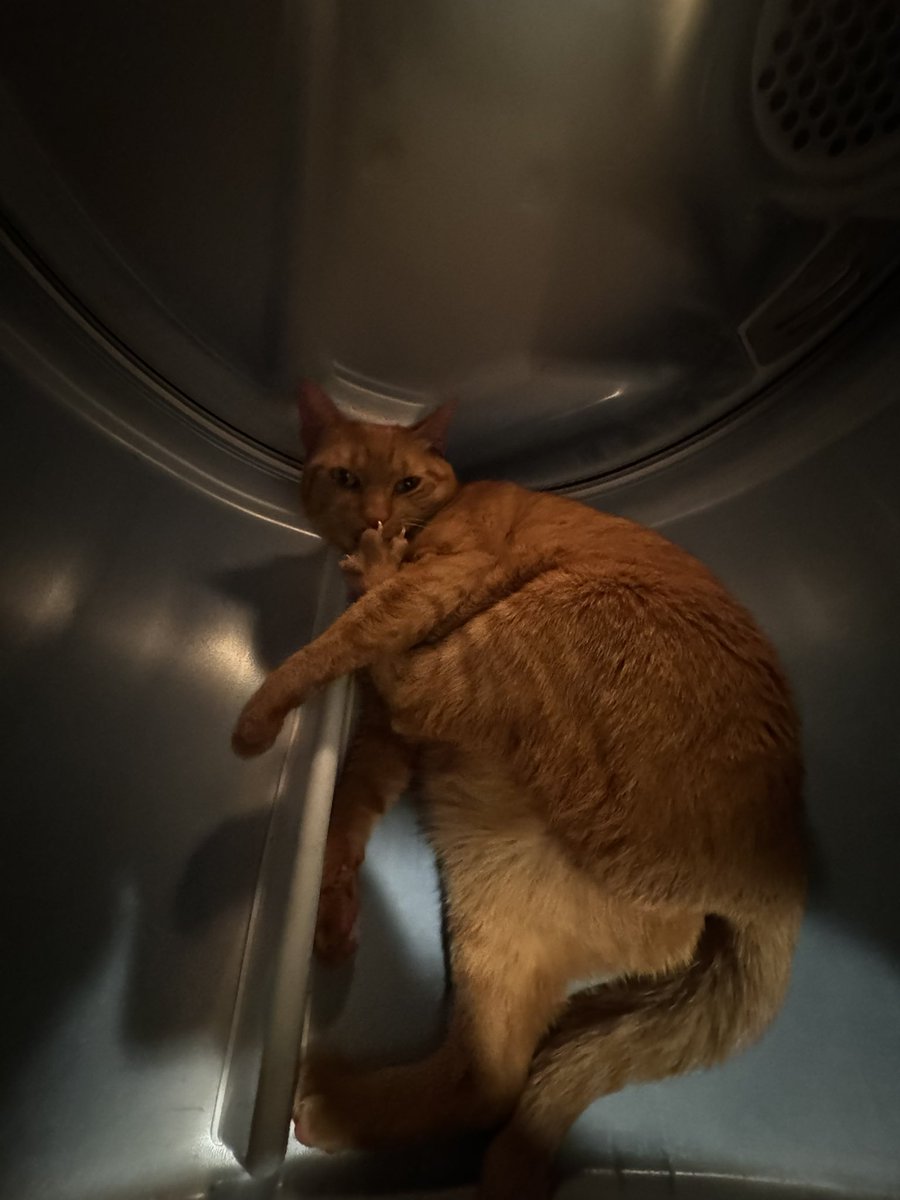 chedstack's tweet image. 