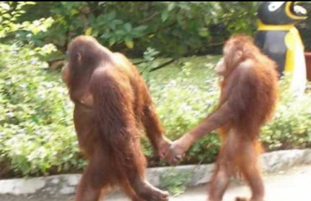 رايحين الفيسبوك بعد مانطردوا من تويتر