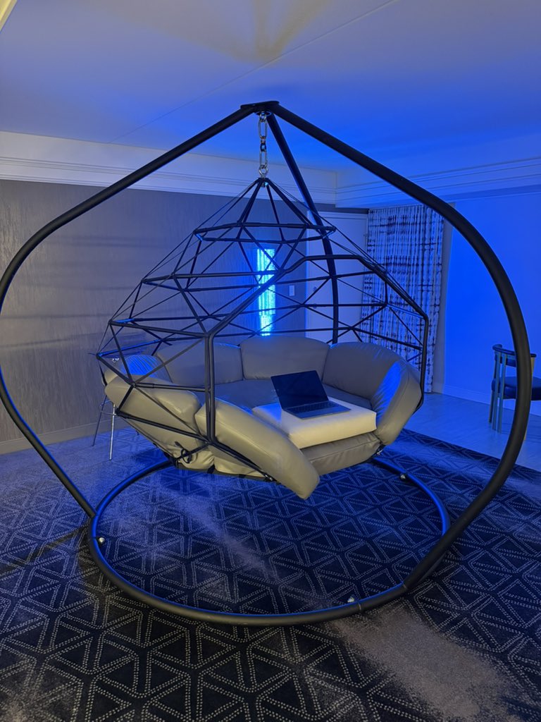 TheSaurus831's tweet image. Just picked up this new swing for the apartment