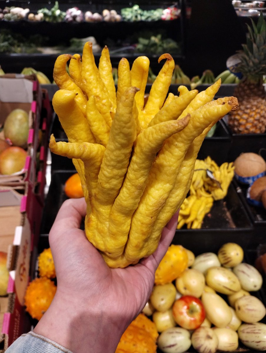 JJBASoundDesign's tweet image. this fruit tho