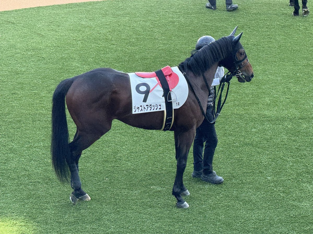 matthew_sec's tweet image. ジャストアダッシュ、お疲れ様でした！
気持ち切り替えていこう💪