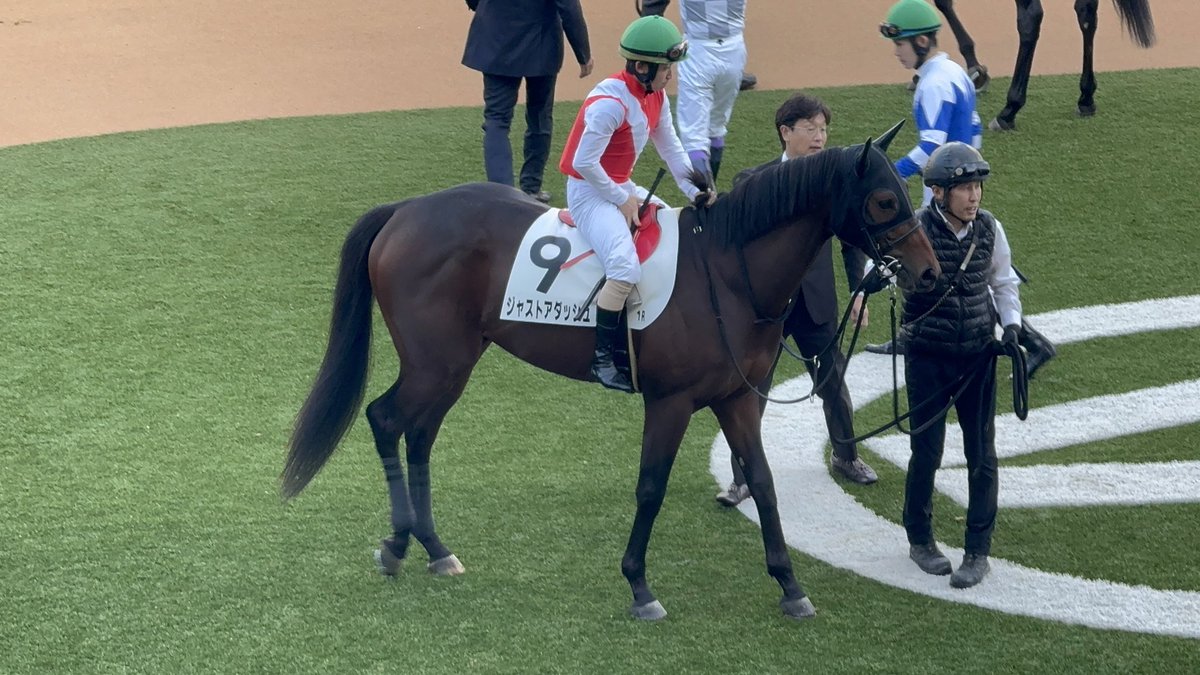 matthew_sec's tweet image. ジャストアダッシュ、お疲れ様でした！
気持ち切り替えていこう💪