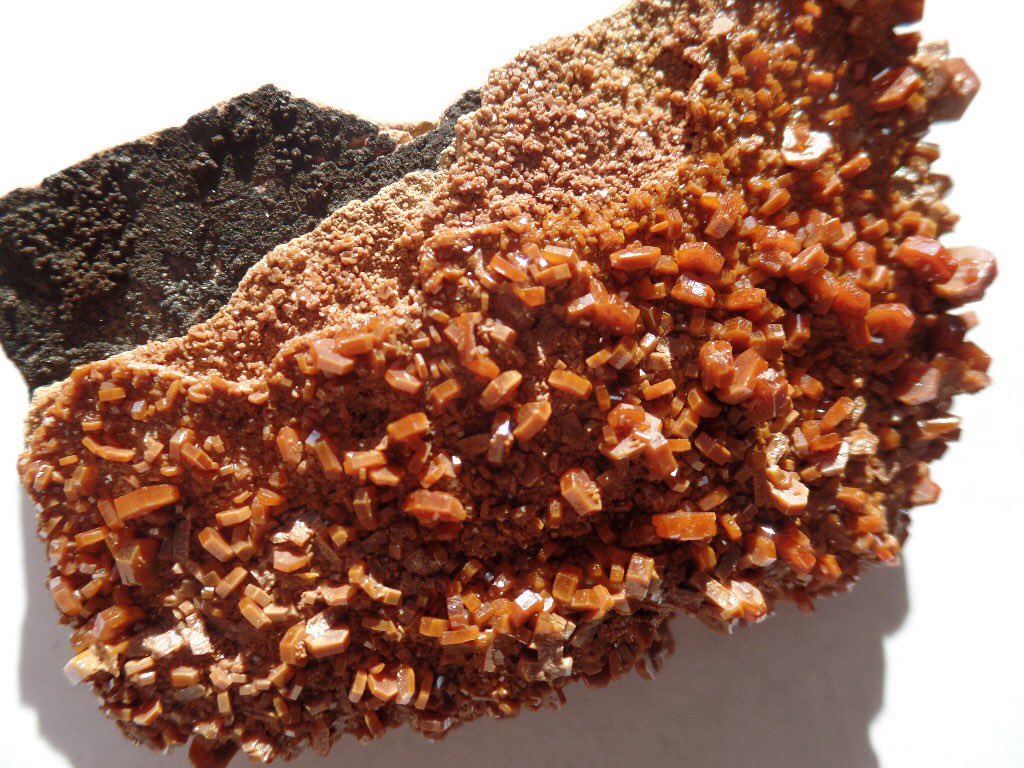 NomadSprtJewlry's tweet image. This is #vanadinite from Morocco 🇲🇦 

Feel free to like, comment, share, follow ☮️❤️😃

Visit our Etsy shop to view our selection. Here’s the link:

nomadicspiritjewelry.etsy.com

#beads #fossils #jewelry  #minerals #gems  #rocks  #crystals