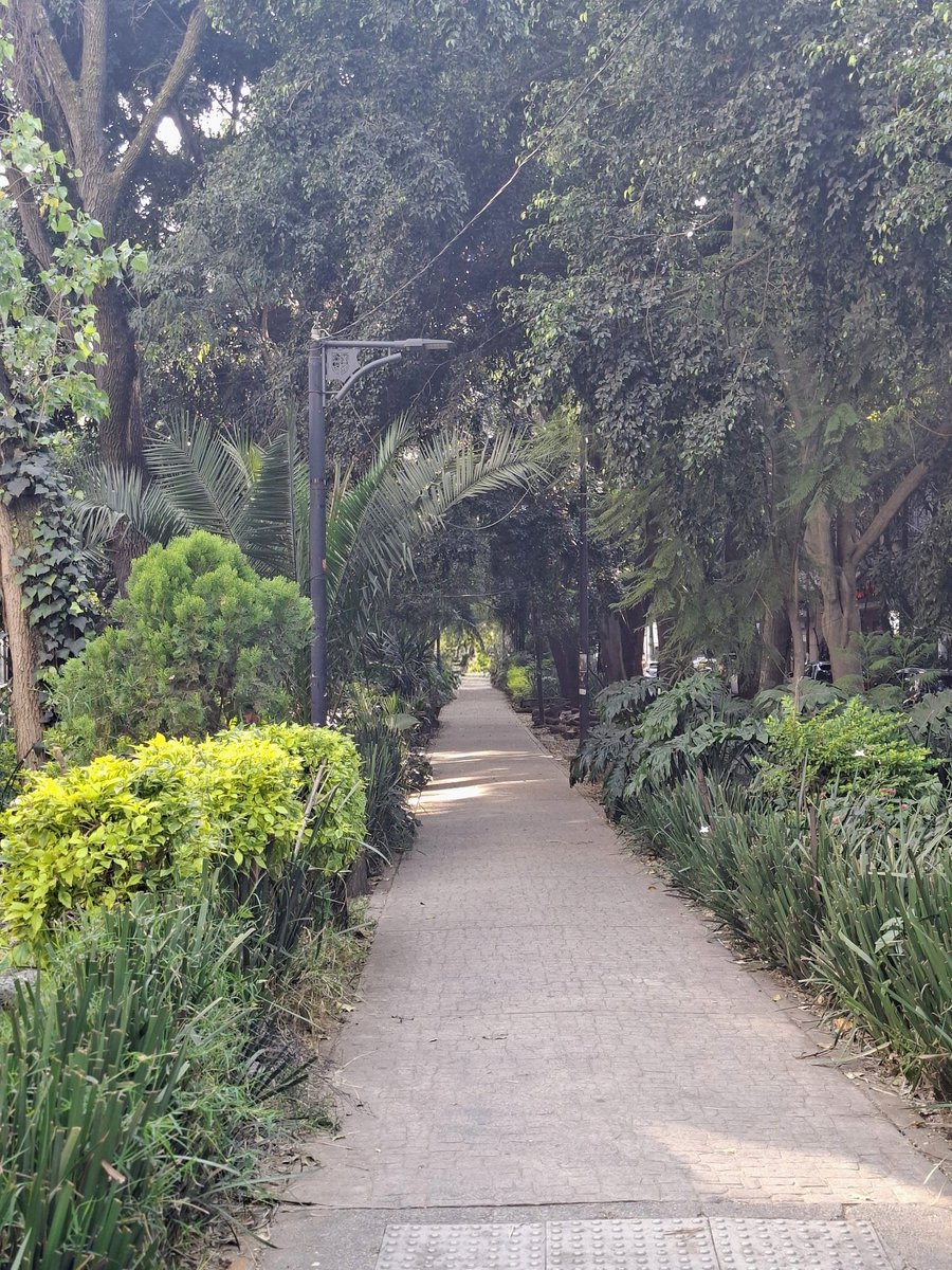 Cuando todos los caminos me llevan a ti...