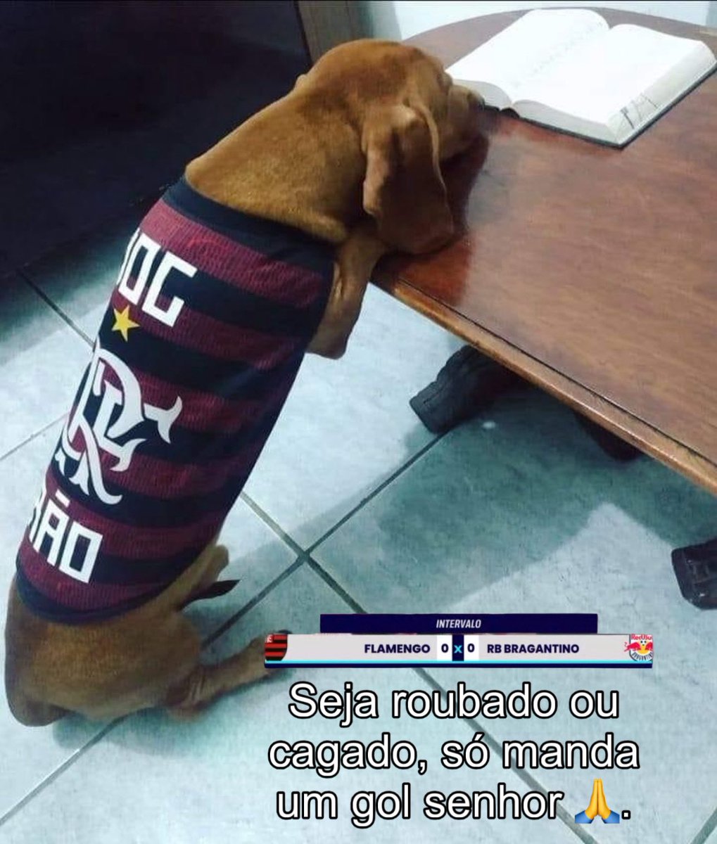 SAMENGO (@samengo_ofc) on Twitter photo 