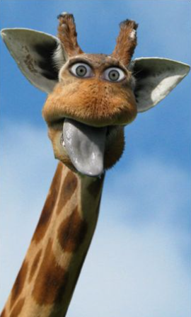 I hope the next elo reset will at least start at 2k elo