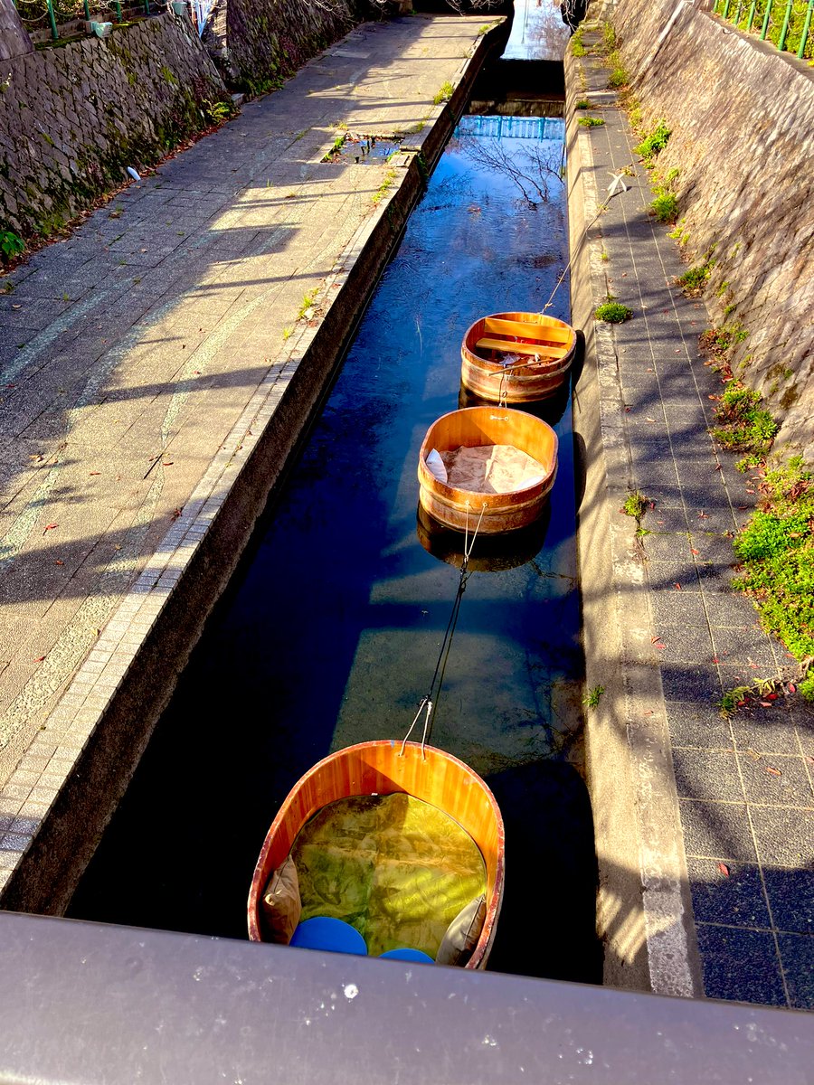 unipoko's tweet image. たらい舟やってんよー
#DBN