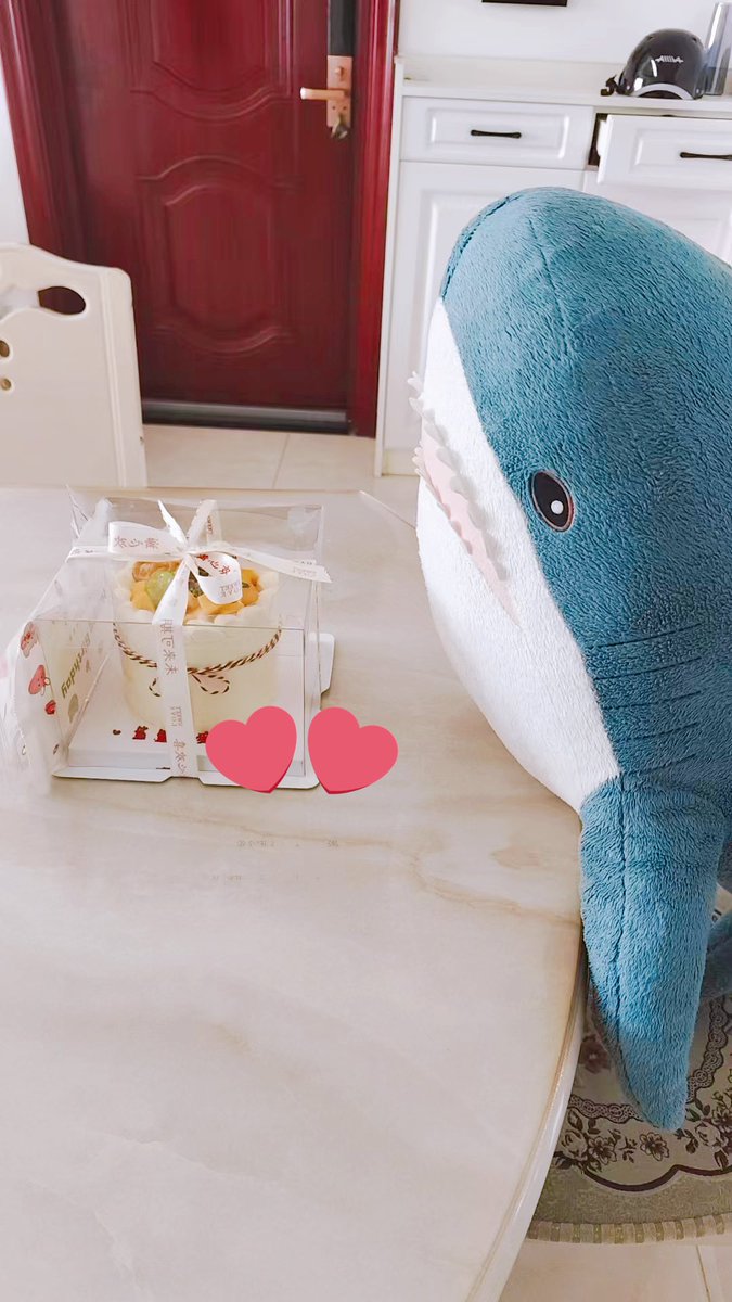 meshi_same's tweet image. 昨日は飼い主のお誕生日だったよ
娘ちゃんがケーキを予約してくれて、おじいちゃんとおばあちゃんがお祝いに来てくれた
サメは家族の一員としてその場にいることができてとてもうれしかった