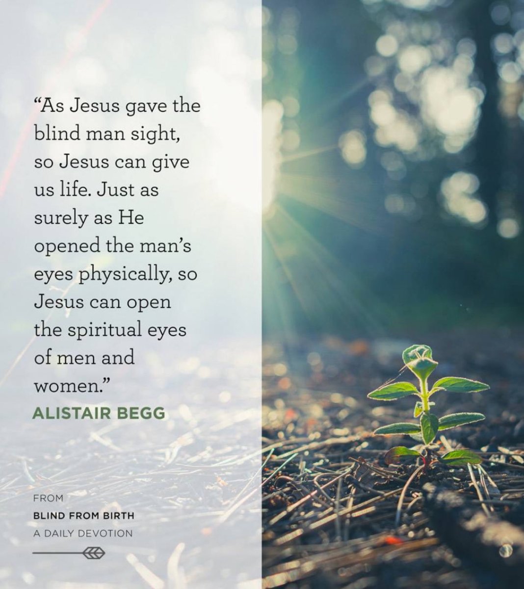 Some of the Pharisees near Him heard these things, and said to Him, “Are we also blind?”
~John 9:40

The great, and tragic, irony of the episode John recounts in chapter 9 of his Gospel is that while a blind man receives his sight, many of those who began with two working eyes