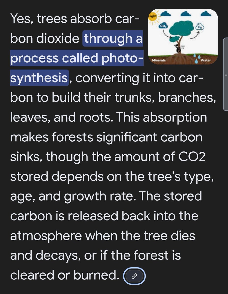 RV_27's tweet photo. @Adem_Flok @craigkellyAFEE Exactly!!!
No trees 🌳 No Oxygen 
We all die 🪦
It doesn't take a rocket scientist to work that 🤦🏼‍♀️
Our government is full of corrupt idiots Scamming people to profit themselves 🤬🤬🤬
Traitors everyone of them pushing this 🐂💩
#ClimateScam 
#ClimateHoax 
#ClimateLies 
#AusPol https://t.co/2zgOPvX6Y0