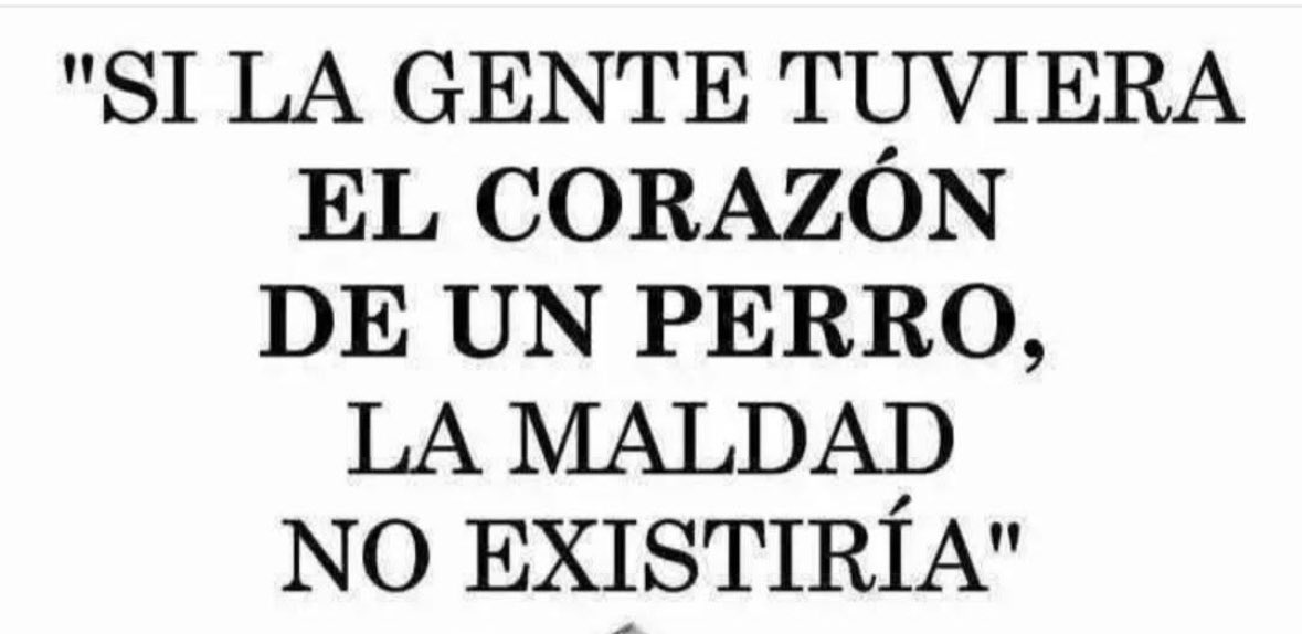 Angela Ospina...❤️ (@angymori) on Twitter photo 
