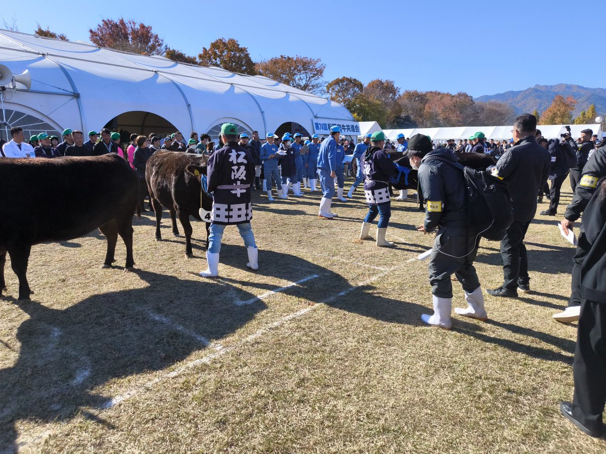 tokai_maxvalu's tweet image. 一次審査が終了し、
最終審査に7頭が選ばれました！😳

どの牛が選ばれるのか…🐂

#三重県
#松阪牛
#共進会
#マックスバリュ東海