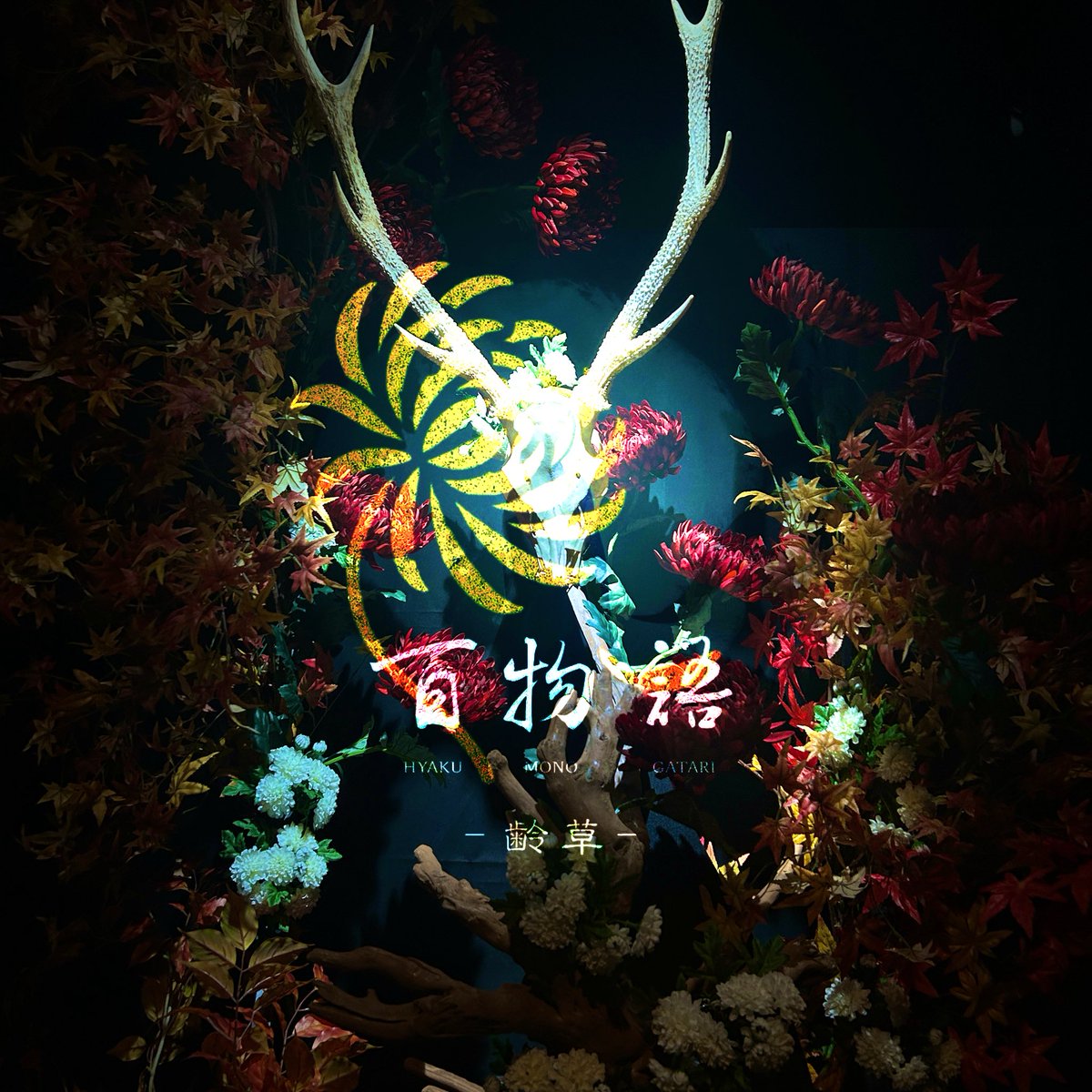 nanami_1224_'s tweet image. #百物語齢草
#DAZZLE
#immersiveexperience 
#immersivetheater

11/23(日)
本日2回目の出演です🌑🕯️

13:30/16:00/18:30

お時間お間違えなく
儀式会場にてお待ちしております。