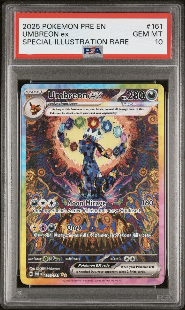 nat ₊˚⊹ tweet media