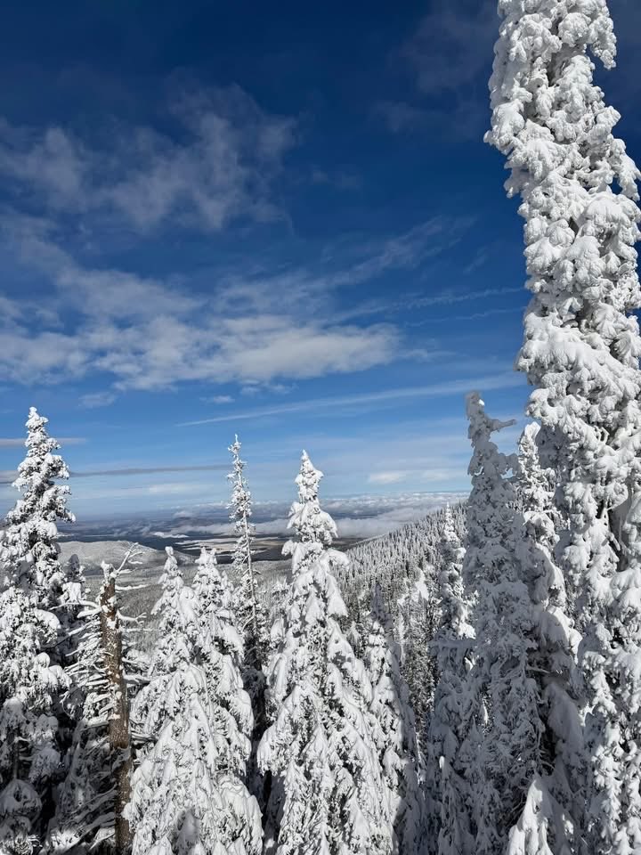 McreaEdna's tweet photo. Here are a few photos from Arizona Snowbowl’s official opening yesterday!❄️ https://t.co/FY5xSNHKlg