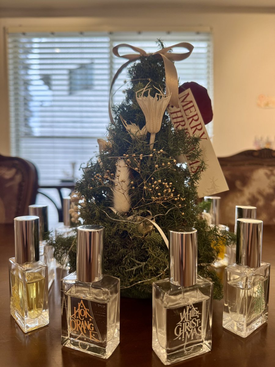 おはようございます🐻
本日も11時〜19時でオープンいたします🫧
（調香体験受付は18時までです）

もうすぐクリスマスシーズンということで、
店内もささやかながら飾り付けをしております🌲
香水をプレゼントとしてご検討の方も、
ぜひいらしてください🌹