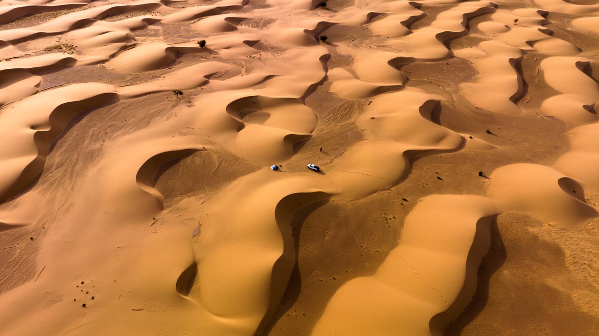 GiulioAprin's tweet image. GM