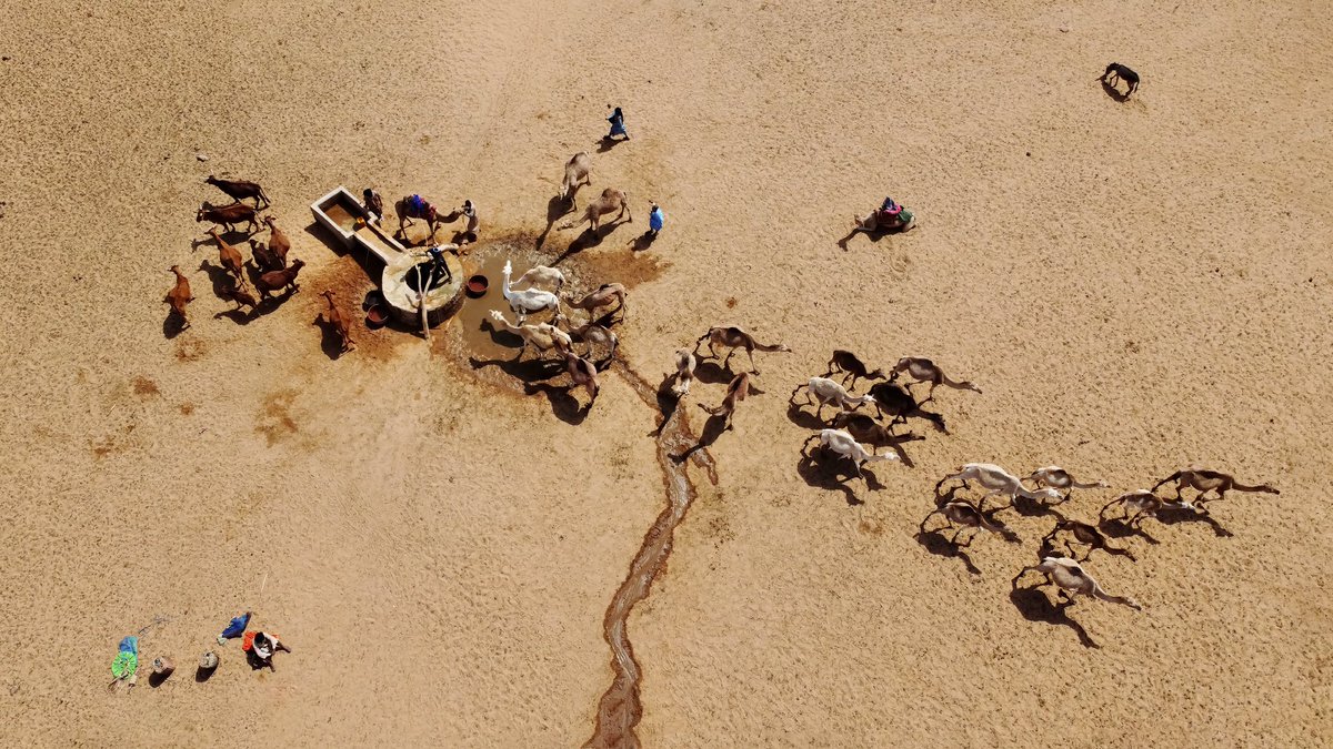 GiulioAprin's tweet image. GM