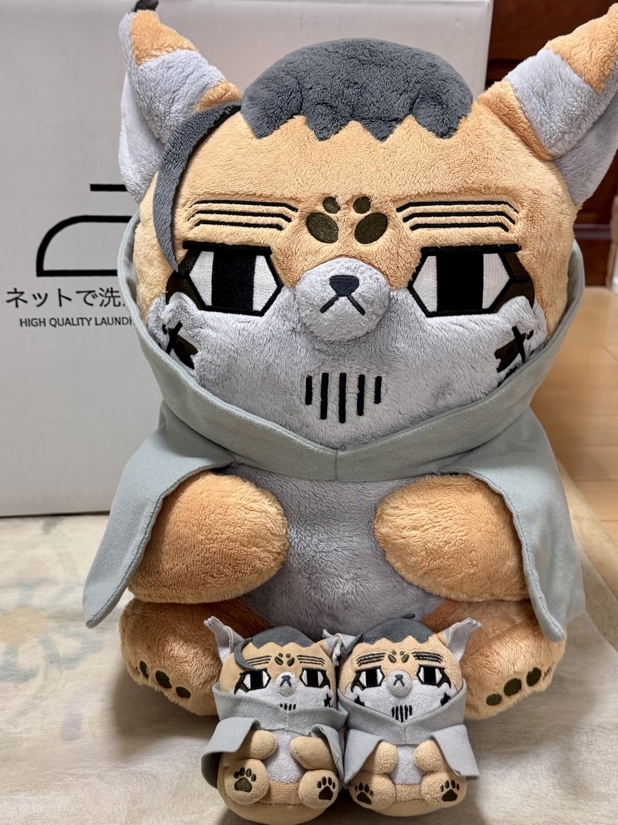 ネットで洗濯.comさん(@403_net)でフォゼ王ちゃん、フォゼ尾ちゃん、百