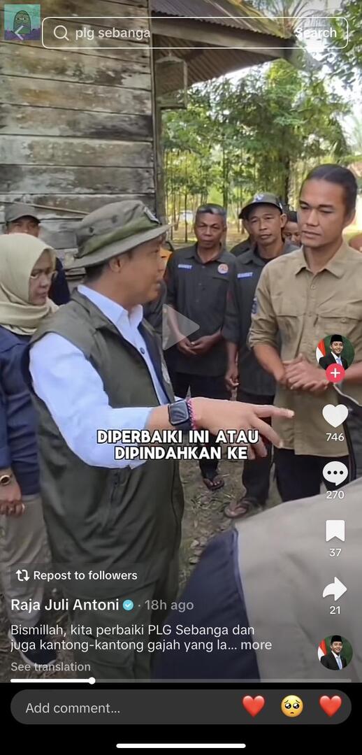 tanyakanrl's tweet image. 💚 Kata menhut disuruh pindahkan habitatnya 😢 tolong guys bantu up juga berita PLG SEBANGA, lahan yang tadinya ada sekitar ±5700 hektar tapi sekarang  tersisa 1 hektar aja untuk gajah-gajah di sana, tempat tinggal mereka dikelilingi lahan sawit 😢💔